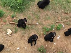 -合肥野生动物园