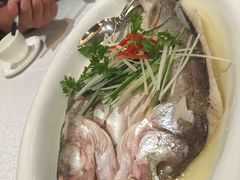 咸香海鲈鱼-江南·JIANGNAN(北京歌华开元大酒店)