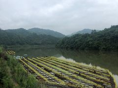 -婺源梦里老家大型山水实景演出