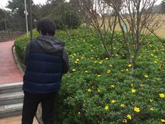 -铁山坪森林公园