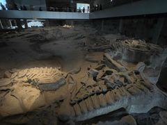 -自贡恐龙博物馆