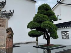 -广富林宰相府酒店·水云间
