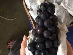 -马陆小张葡萄园农家乐