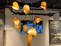 -冰岛阴茎博物馆