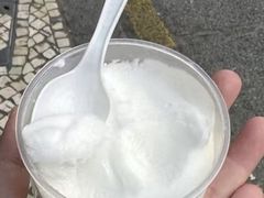 -洪馨椰子