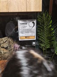 -造物庄园 萌宠纪(苏州湾歌林公园店)
