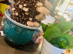 -捞王锅物料理(上海世茂广场店)