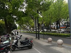-苏州图书馆(人民路总馆)