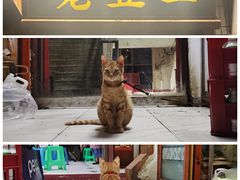 -老丘丘(较场口店)