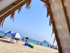 -西涌国际滨海旅游区