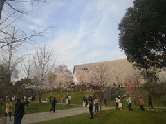 -武汉大学-樱园
