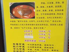 -丁老爷子苏香圆