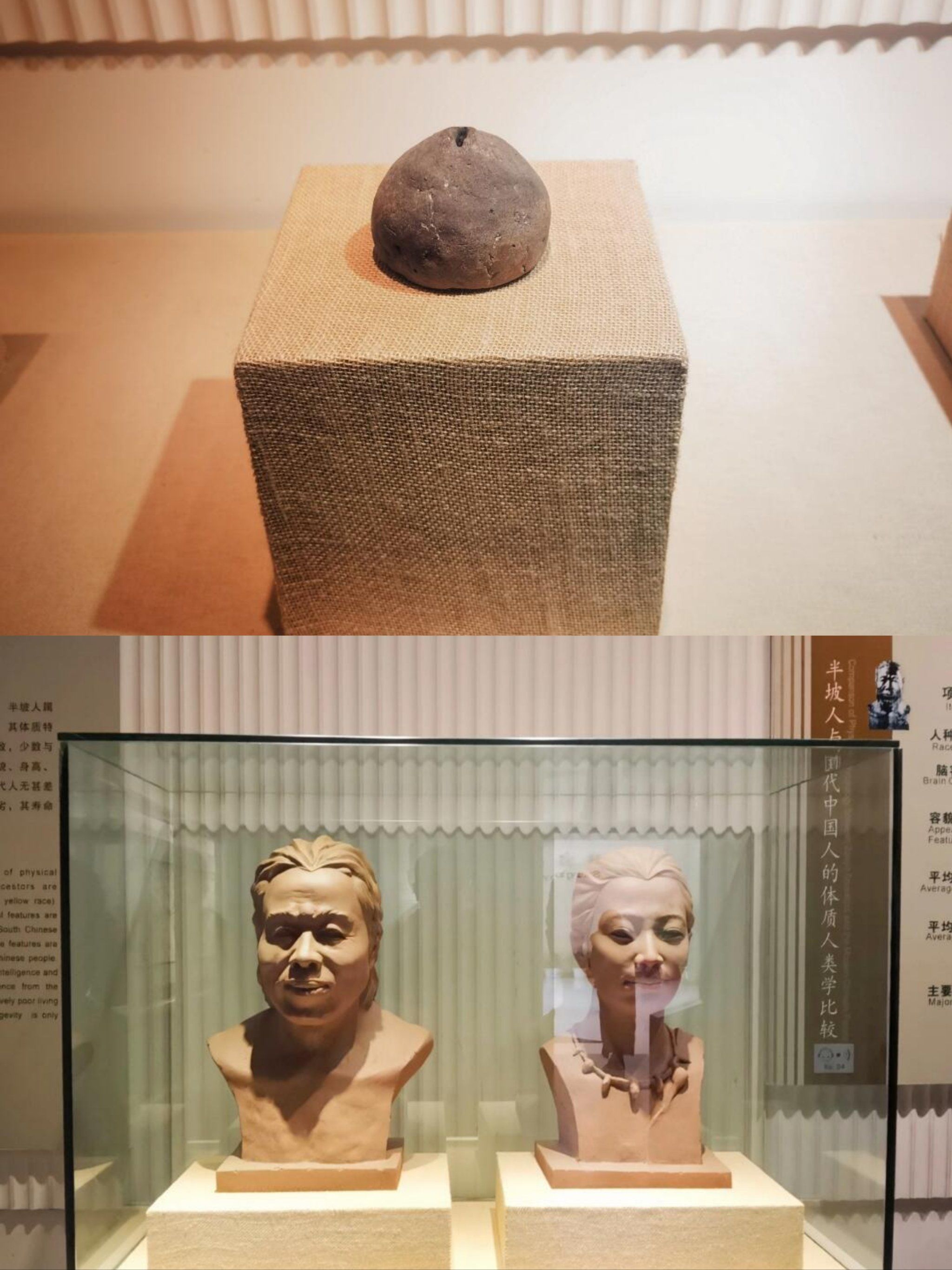 西安:半坡博物馆
