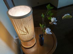 -端艾堂·SPA·艾灸(棕榈泉013店)