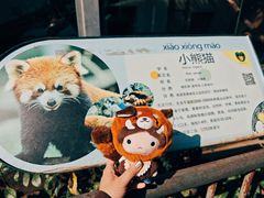 -柳州市动物园