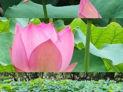 -天河儿童公园