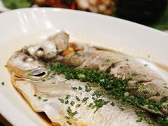 -宋宴(虎跑店)