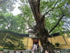 -无锡惠山寺