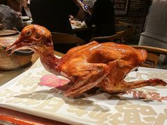 -大鸽饭(北京路店)