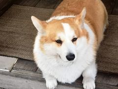 -肥朵食堂(带梦胡同店)