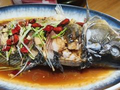 -崂山水果园农家宴(泉水鸡店)