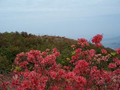 -瑞安圣井山景区