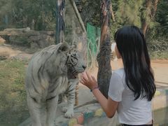 -贵州森林野生动物园