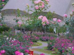 -人民公园(罗湖区)