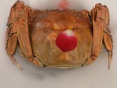 -鱼翅楼·津派砂锅鱼翅(水上公园店)