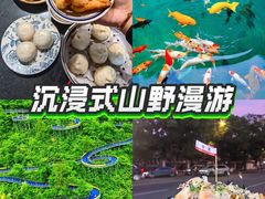 -芦茨金富饭庄·25年老字号·专做稻草鸡
