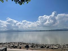 -深圳湾公园(南山区)