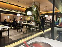 -阿露佳·舌尖上的安吉菜