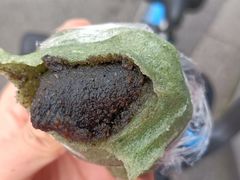 麻稣青团-江南春(中山中路店)