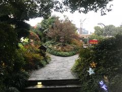 -杭州第一世界大酒店·云曼温泉