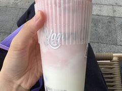 -成都动物园