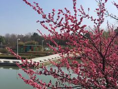 -白塘生态植物园