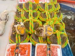 -大湾区中央湿地公园-十九涌