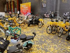 -四川大学(华西校区)