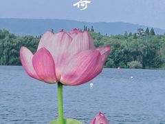 -尚湖风景区