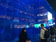 -成都浩海立方海洋公园