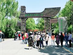 -溱湖国家湿地公园