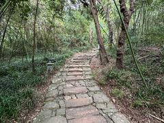-平湖九龙山旅游度假区
