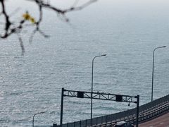 -星海湾跨海大桥