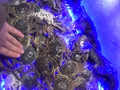 -鼎香缘海鲜自助火锅烤肉(锦辉购物广场店)