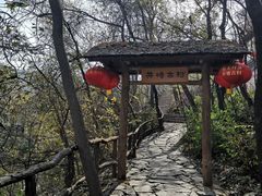 -井塘古村
