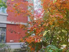 -东北大学(南湖校区)