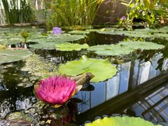 -国家植物园南园