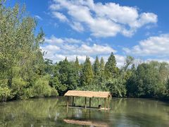 -溱湖国家湿地公园