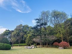 -铁山坪森林公园