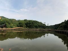 -神光山国家森林公园